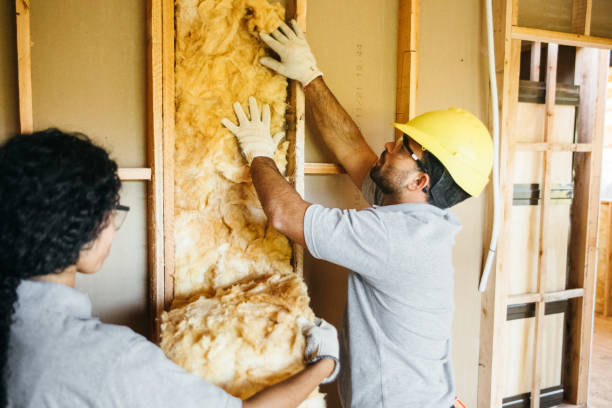 Best Attic Insulation Installation  in USA